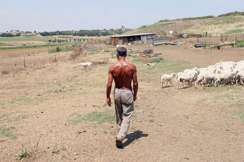 Danilo Donzelli, Campagna romana#9, 2006